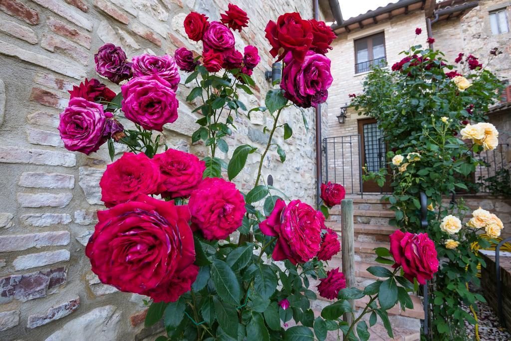 Borgocuore Todi Exterior foto